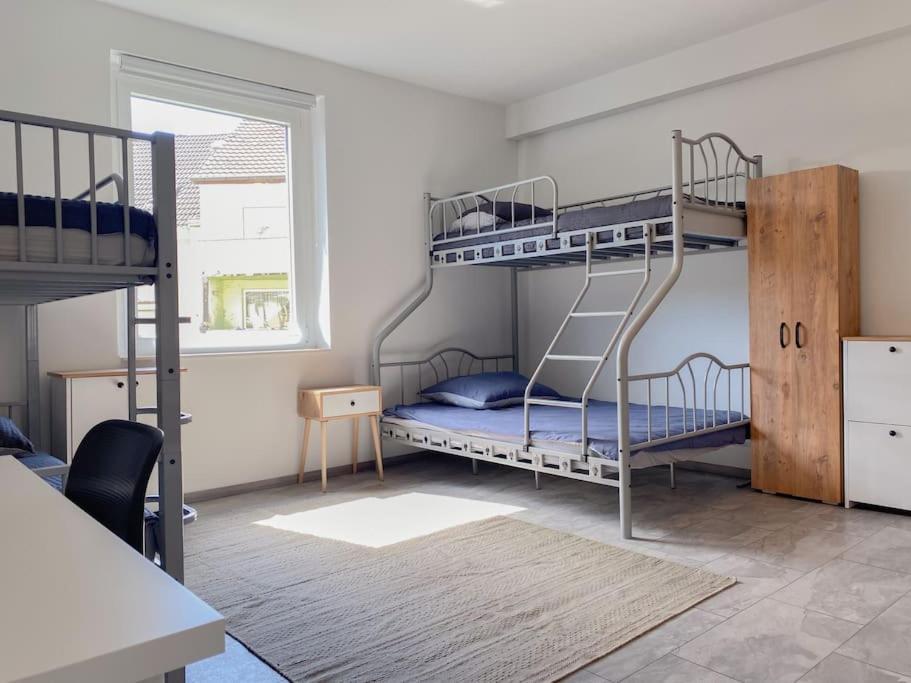 Newly In * Gelsenkirchen