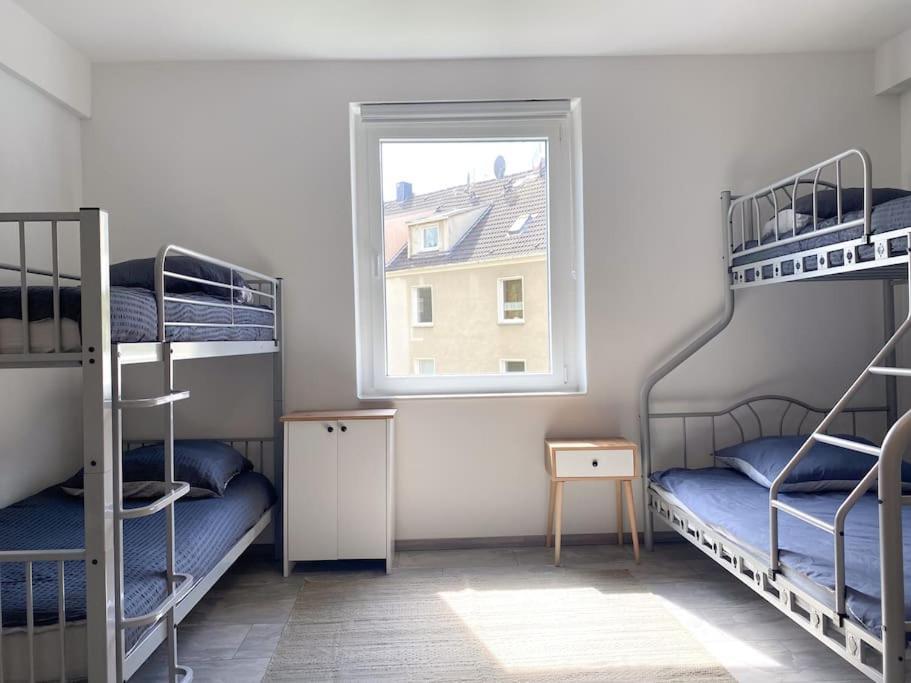 Newly In Apartment